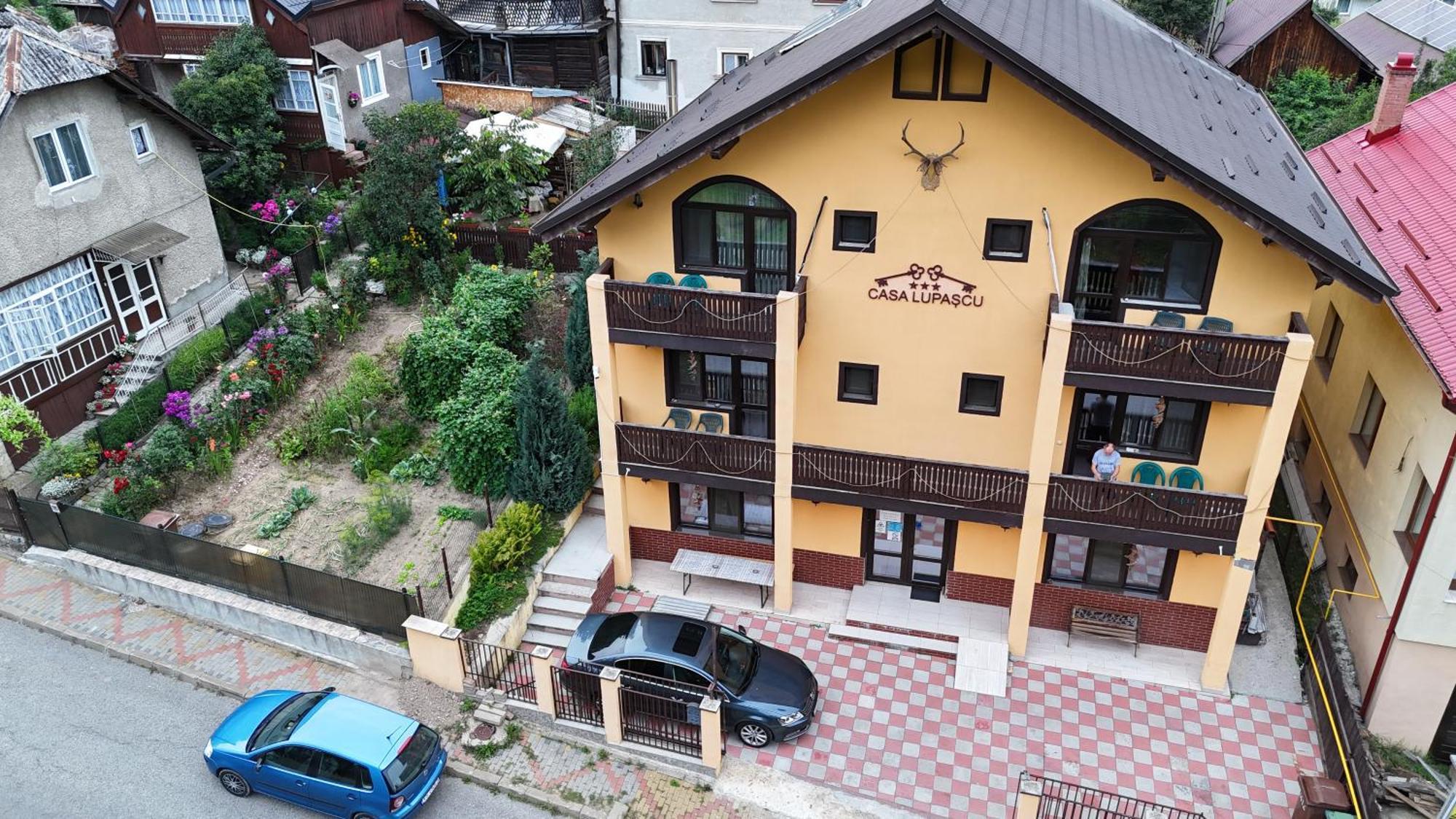 מלון וטרה דורניי Casa Lupascu מראה חיצוני תמונה